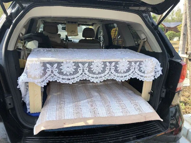 58歲的她，自駕房車旅居，一人兩犬，活成了自己喜歡的樣子